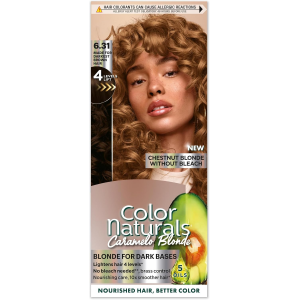GARNIER COLOR NATURALS 6.31 CHESTNUT BLONDE WITHOUT BLEACH — BLONDE FOR DARK BASES 150 GM